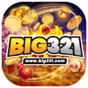 BIG321 partner